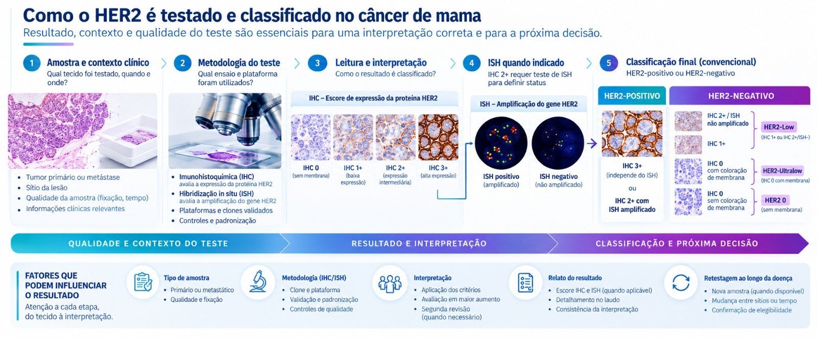 Como o HER2 é testado e classificado no câncer de mama: da amostra à classificação final.